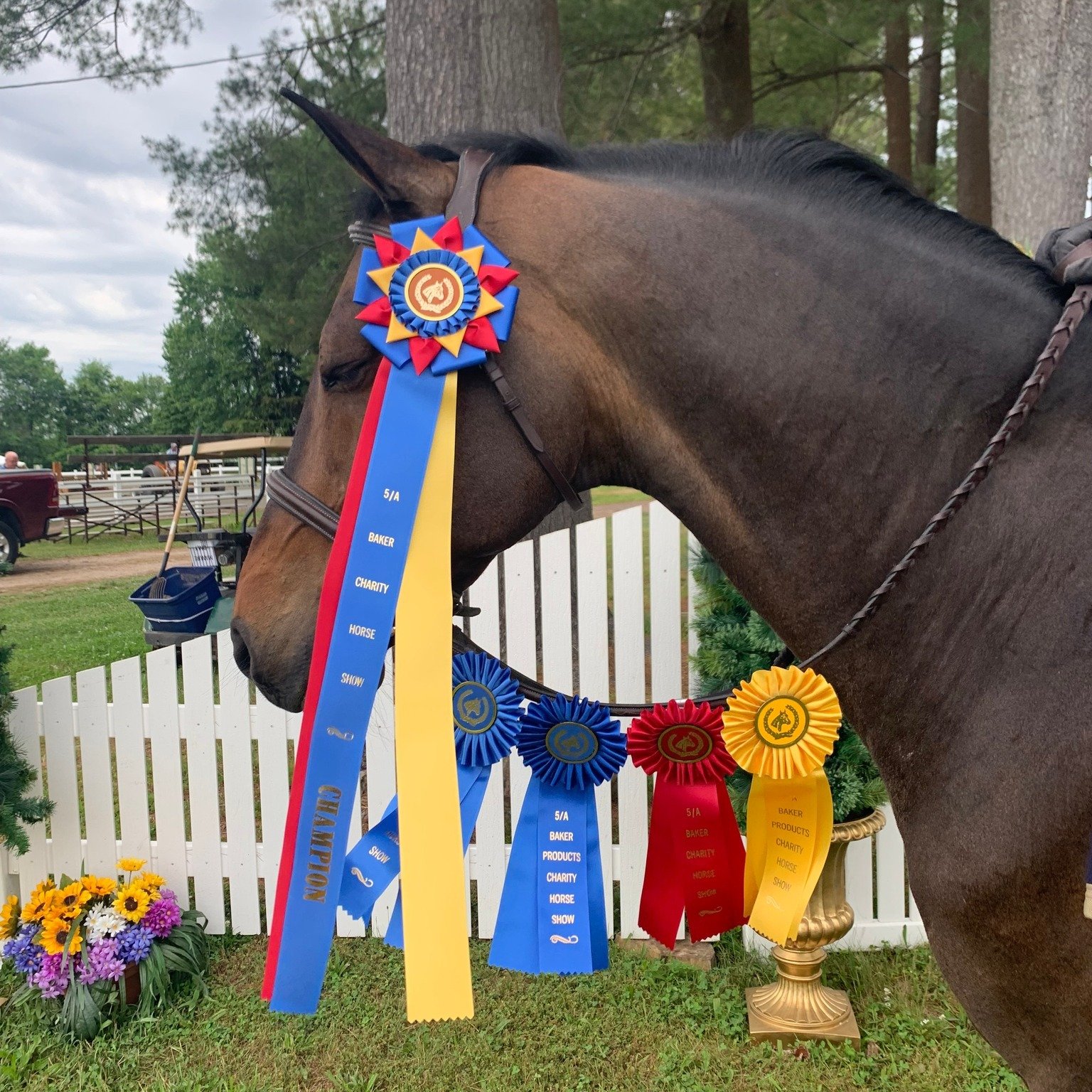 2024 Horseshow Four Town Fair